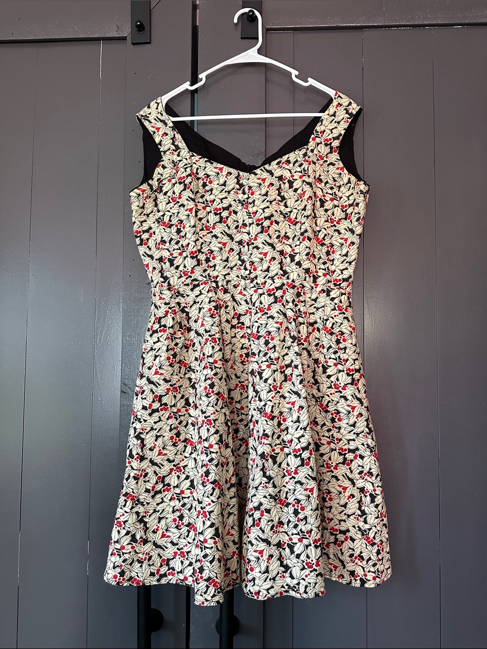 Sleeveless Floral Fit-and-Flare Dress in Cream and Red